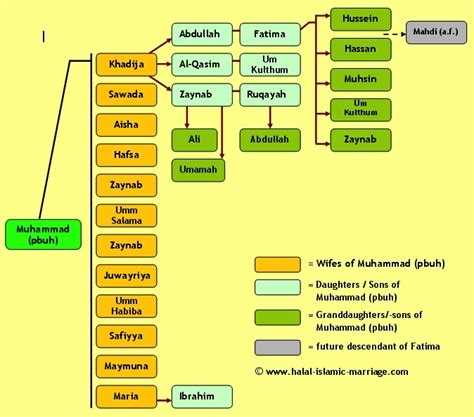 Hazrat Ali's Role in Defending Prophet Muhammad