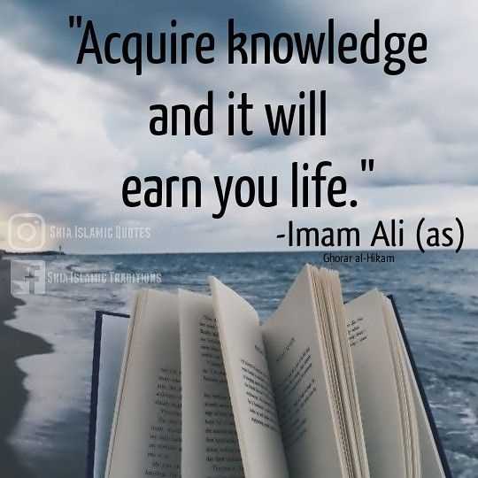Hazrat Ali's Wisdom on Finding Balance and Harmony