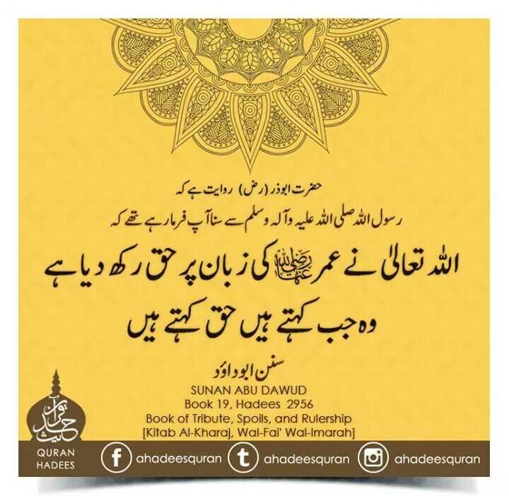 Hazrat Ali's Wisdom on Unity and Brotherhood