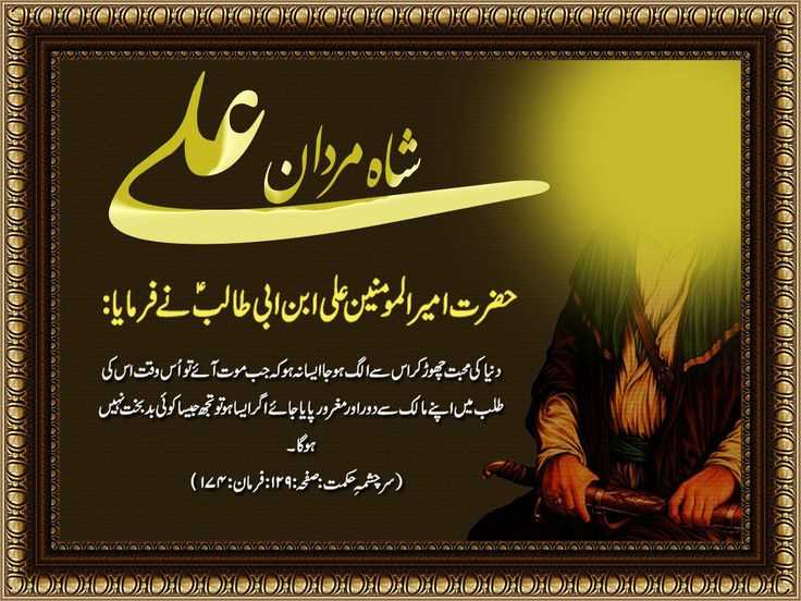 Hazrat Ali's Wisdom on Unity and Brotherhood