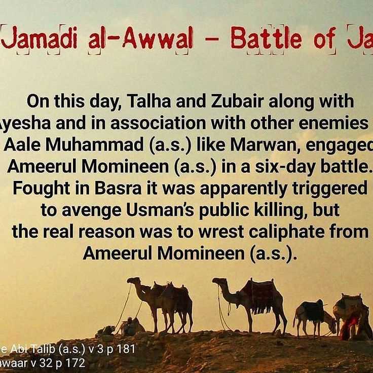 Lessons Learned from the Battle of Jamal