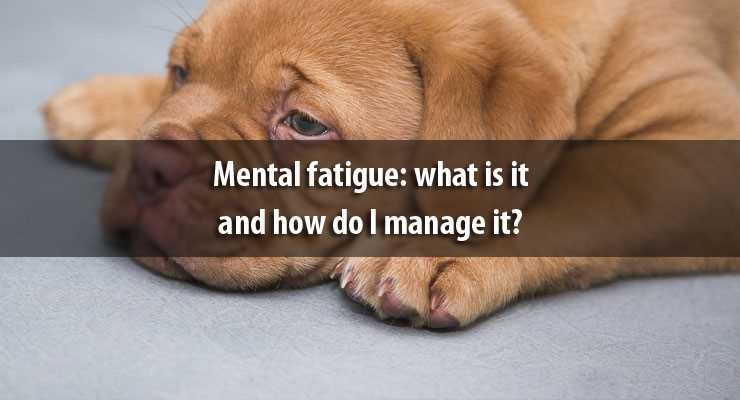 Are you suffering from mental fatigue