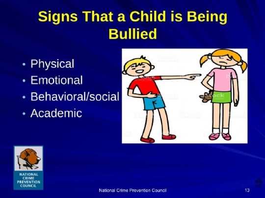 The Vulnerability Factor: Personality Traits that Make Children more Prone to Bullying