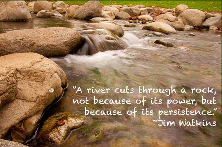 Goal setting mindsetsriver cuts through rock persistence quote