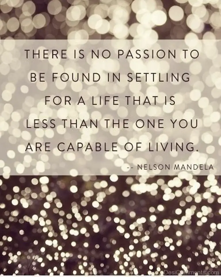 Taking Action and Pursuing Your Passion