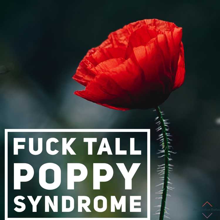 Tall poppy syndrome