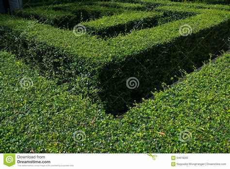 Topics of interestgreen maze