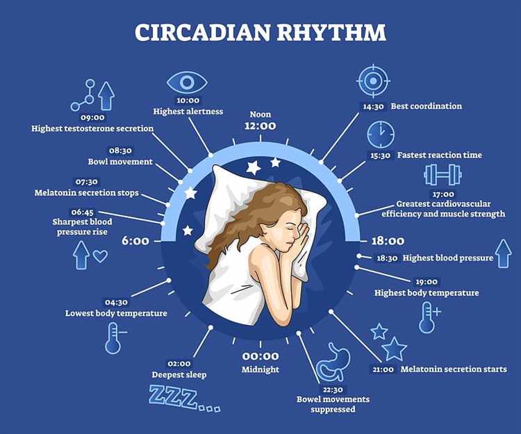 Effects of Disrupted Circadian Rhythm