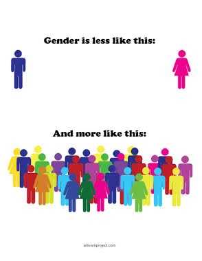 What is gender diversity