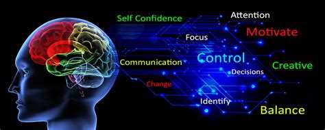What is neuro linguistic programming nlp