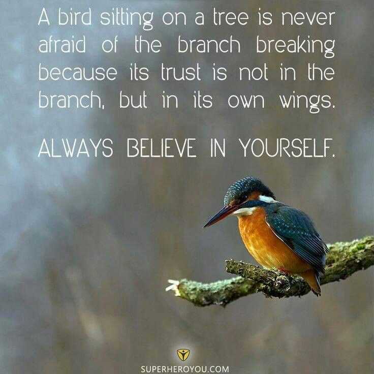 A bird on a branch quote