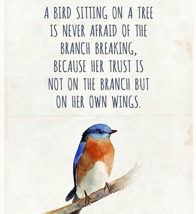 Beautiful Descriptions of Birds Perched on Branches
