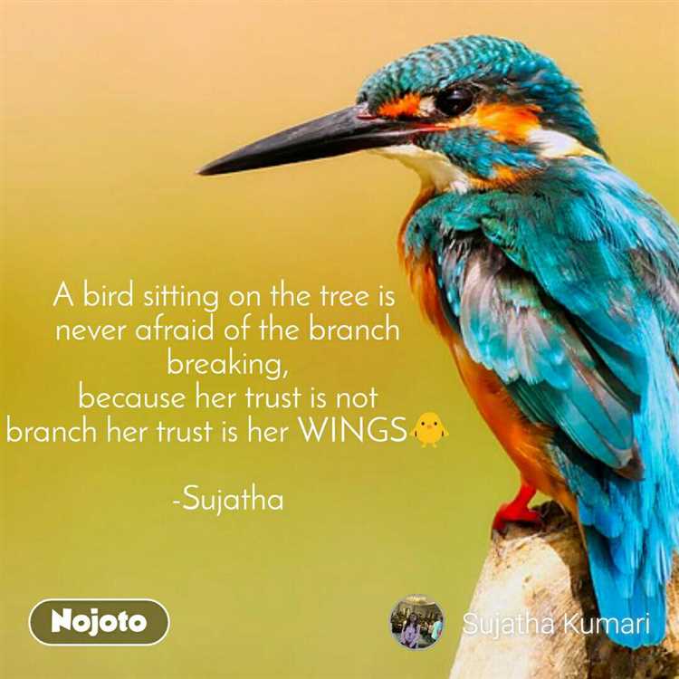 A bird sitting on a branch quote author