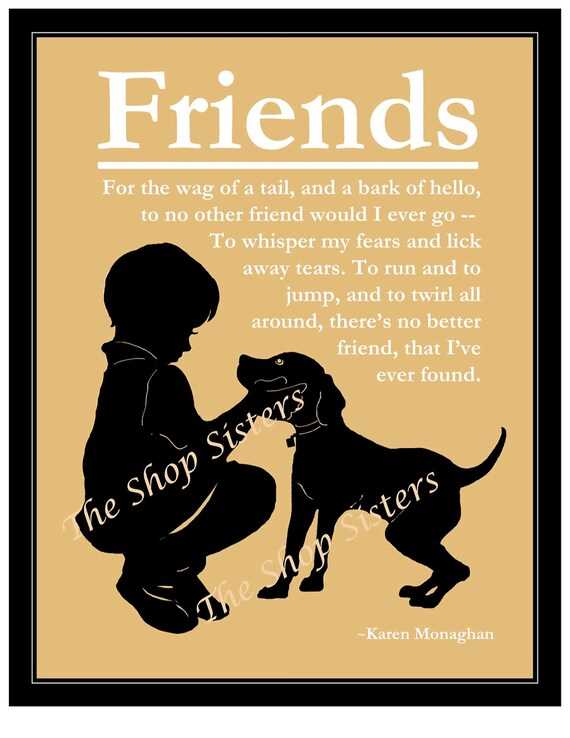 A boy and his dog quotes