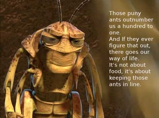 A bugs life quote