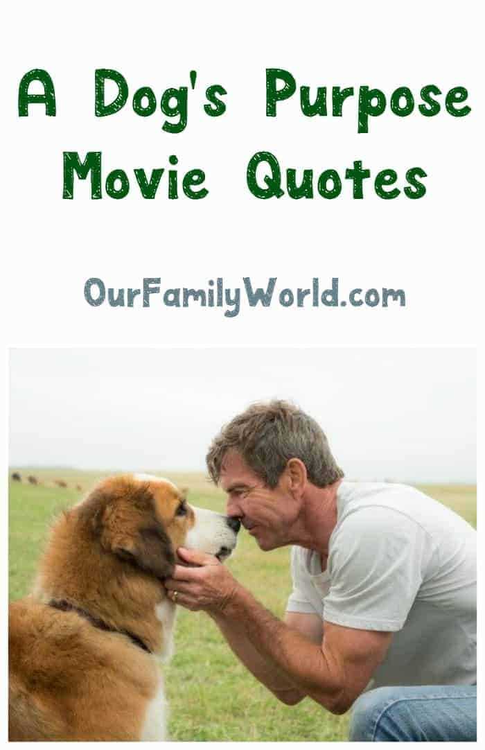 A dog's purpose quotes