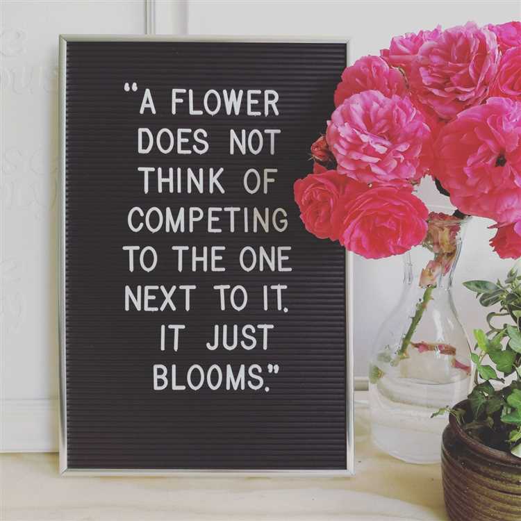 A flower does not think of competing quote