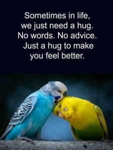Emotional Connection and Understanding in a Hug