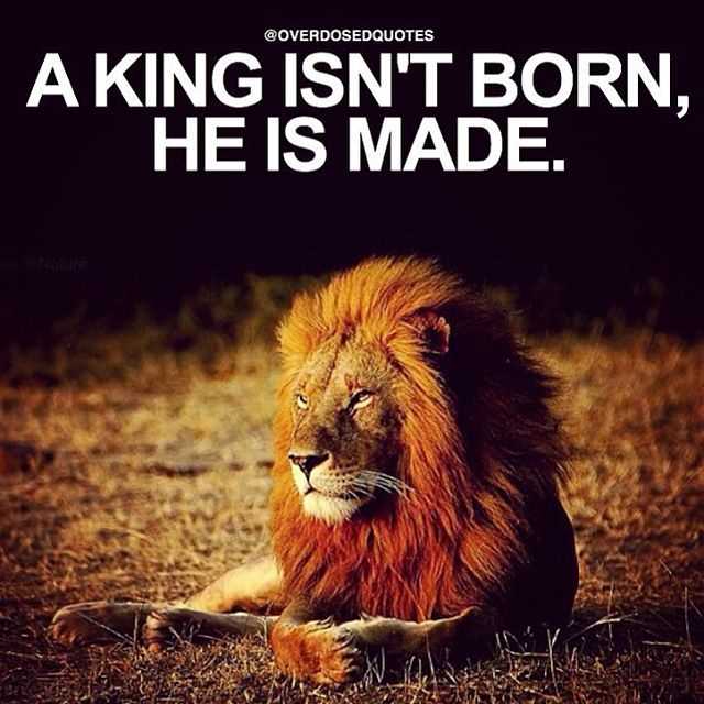 A king is born quotes