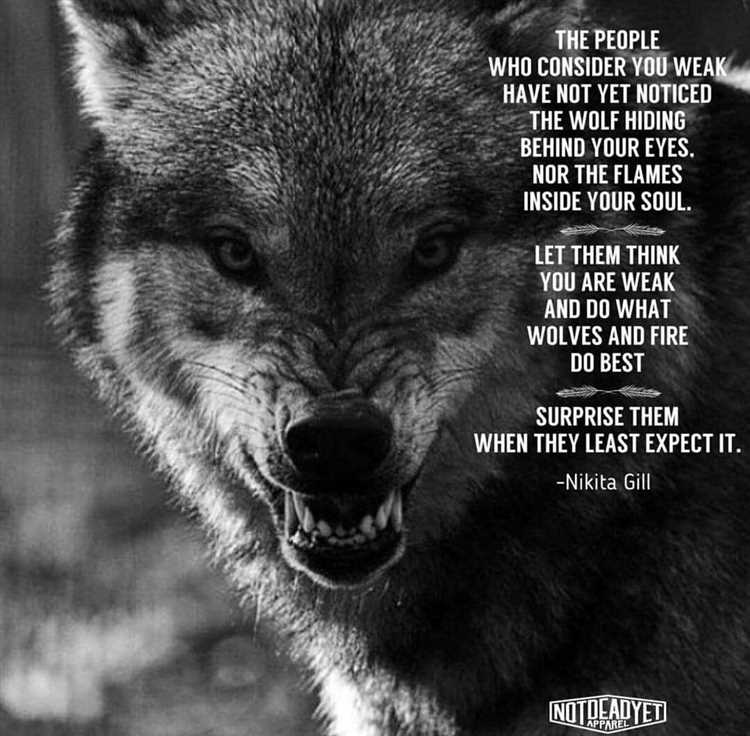 A Collection of Lone Wolf Quotes – Best quotes from great leaders