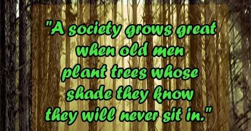 A man who plants a tree quote