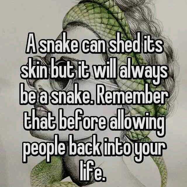 A snake is still a snake quote