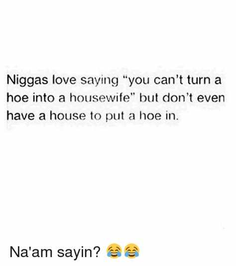 Can't turn a hoe into a housewife quotes