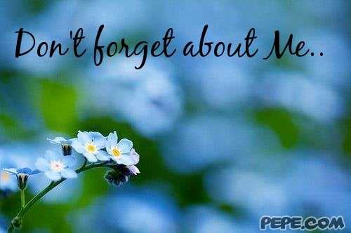 Don't forget me quotes