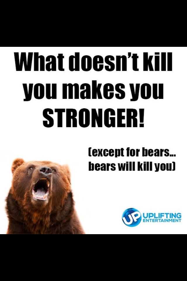 Don't poke the bear quotes
