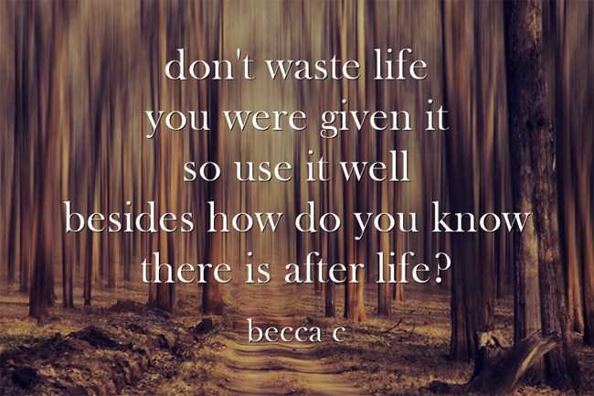 Don't waste your life quotes