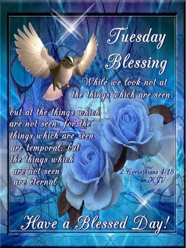Have a blessed tuesday images and quotes
