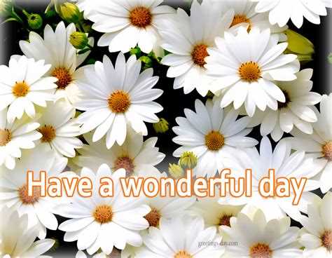 Have a nice day quotes images