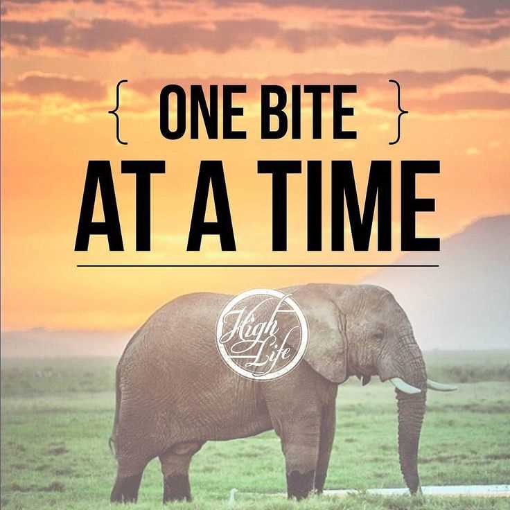 How do you eat an elephant quote