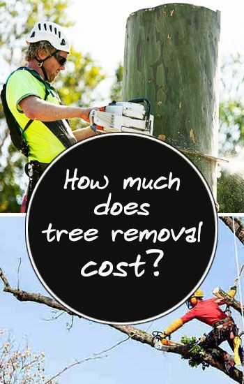 Step 4: Research Local Tree Removal Costs and Market Competition