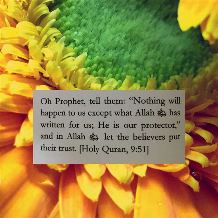 Accepting Allah's Decree