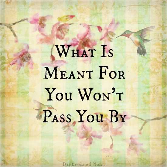 What is for you will not pass you quote