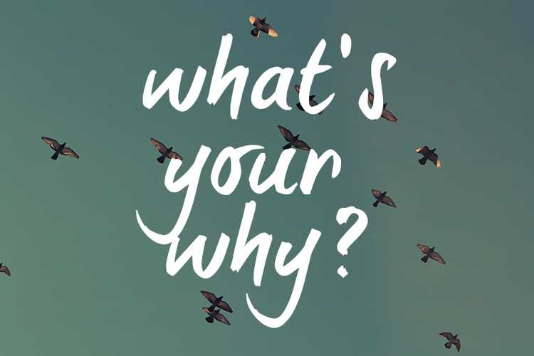 What's your why quotes