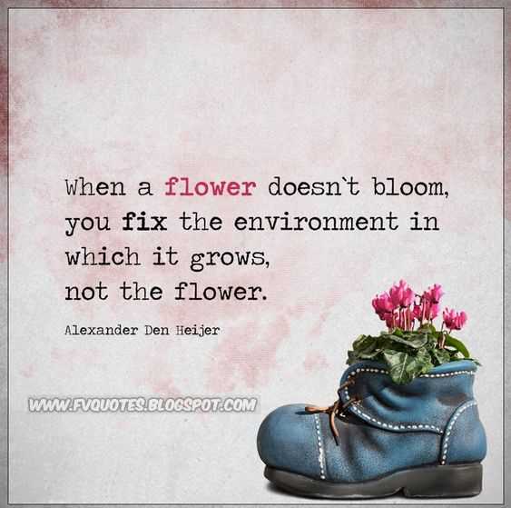 When a flower doesn't bloom quote meaning