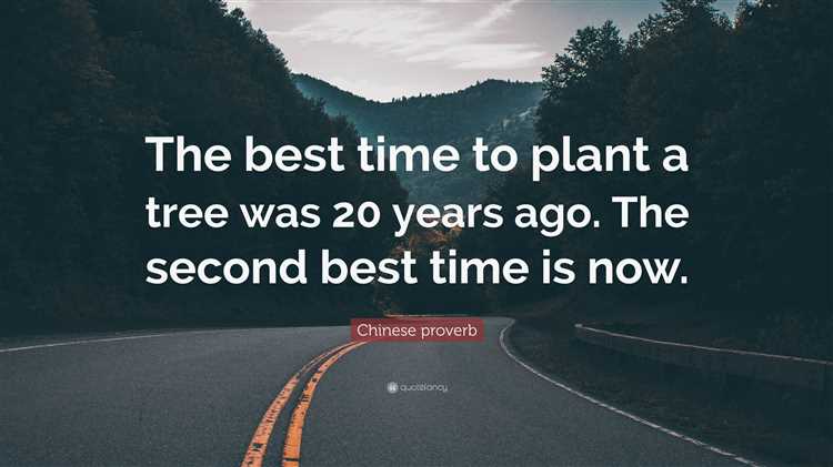 When is the best time to plant a tree quote