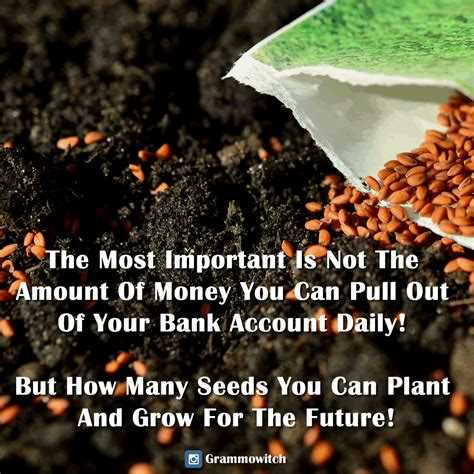 When you plant a seed quote