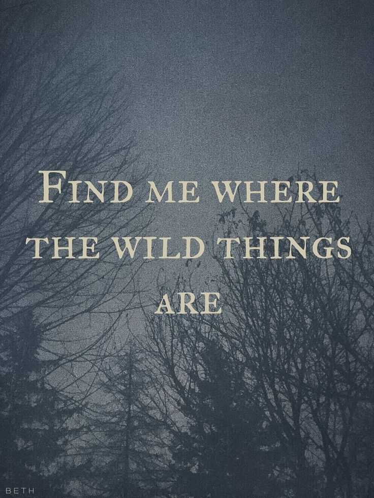 Where wild things are quotes