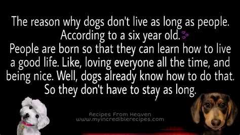 Why dogs don't live as long as humans quote