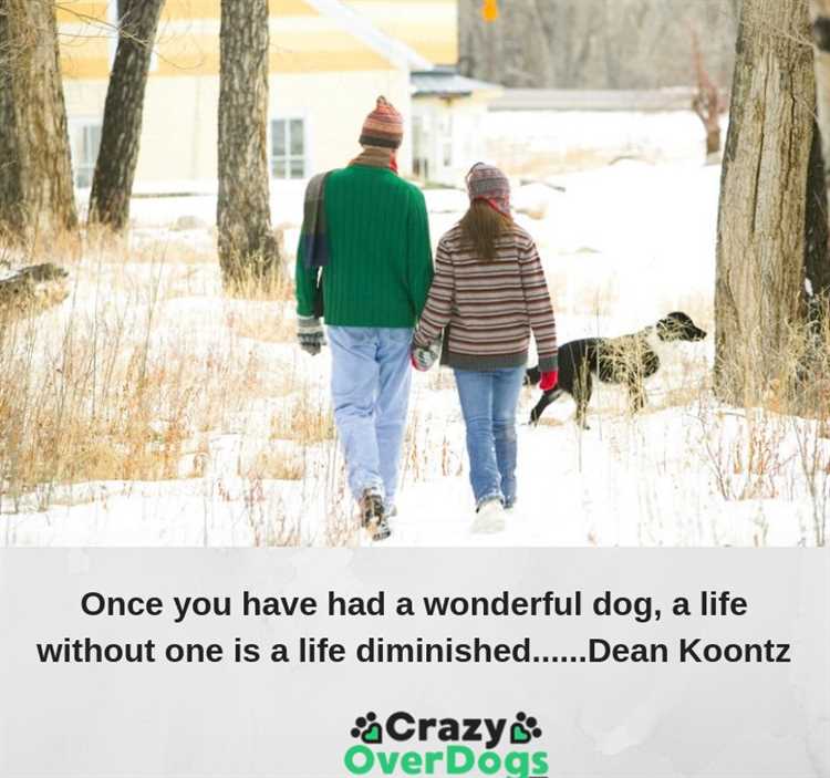 Why don't dogs live longer quote