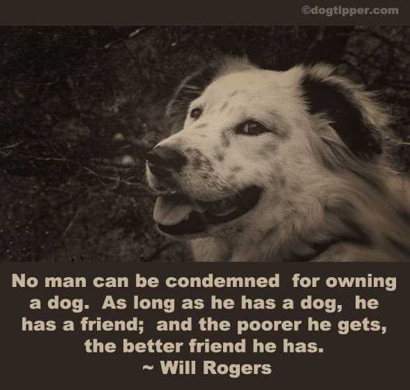 Will rogers dog quote